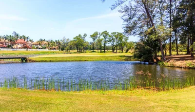 Laguna
