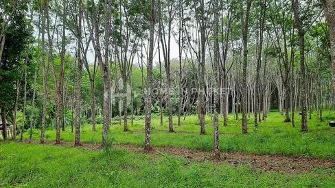 Over 1 Rai Land near Robinson Lifestyle