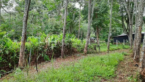 Over 1 Rai Land near Robinson Lifestyle