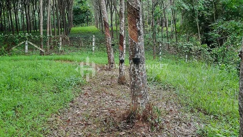 Over 1 Rai Land near Robinson Lifestyle