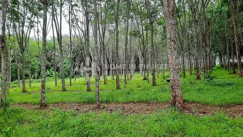 Over 1 Rai Land near Robinson Lifestyle