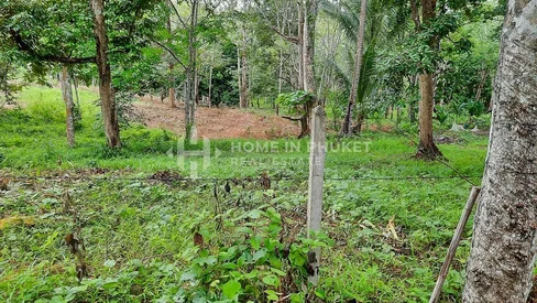 Over 1 Rai Land near Robinson Lifestyle