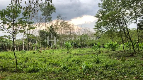 Tranquil 2.7 Rai Land in Mai Khao