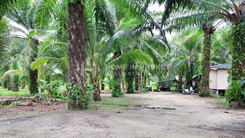 Terre de 15 Rai à Paklok