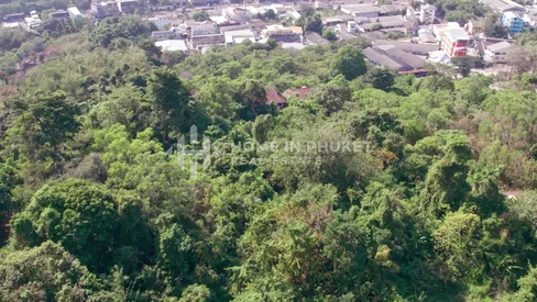Terrain de 6 Rai à flanc de colline dans la ville de Phuket