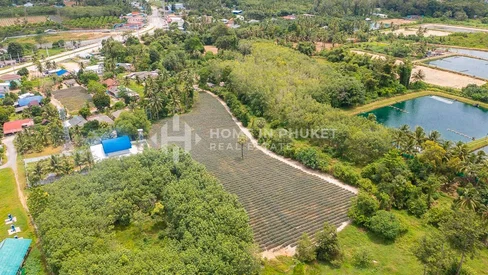 5.5 Rai Land Plot in Pa Klok