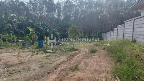 Terrain de 950 m² entouré de forêt à Si Sunthon