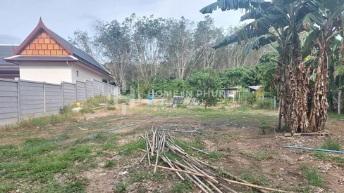 Terrain de 950 m² entouré de forêt à Si Sunthon