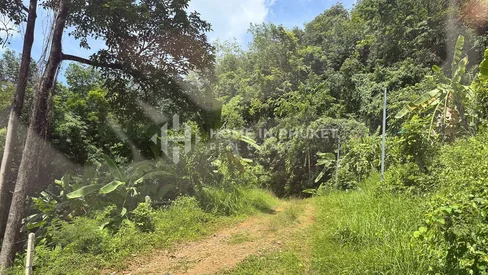 21 Rai de terrain avec vue sur la mer à Koh Sirey