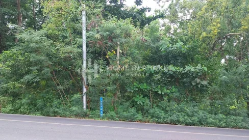 Terrain de 6,4 Rai sur une colline à Rawai