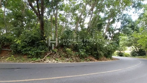 Terrain de 6,4 Rai sur une colline à Rawai