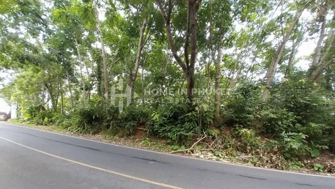 Terrain de 6,4 Rai sur une colline à Rawai