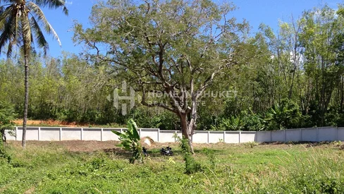 Terrain de 1256 m² proche de la plage de Nai Harn