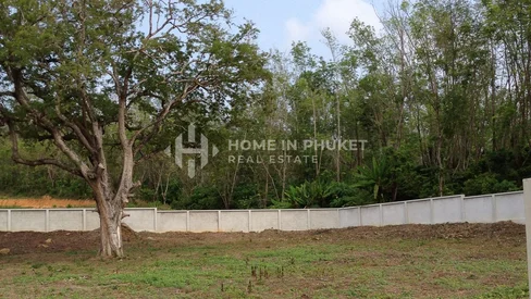 Terrain de 1256 m² proche de la plage de Nai Harn