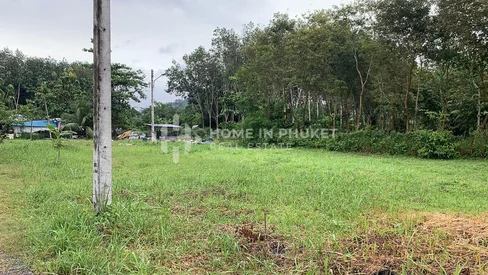 Terrain de 381,60 m² entouré de forêt à Si Sunthon