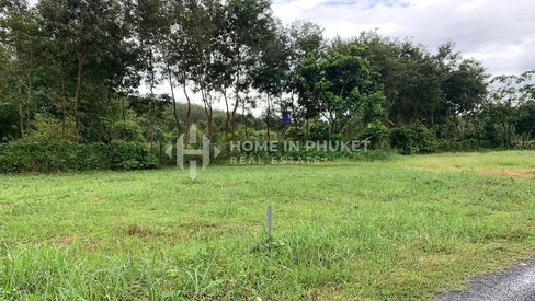 Terrain de 381,60 m² entouré de forêt à Si Sunthon