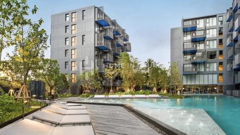 Freehold 1 Bedroom Condo at The Deck Patong