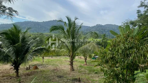 1 rai Land Surrounded by Forest in Thep Krasatti