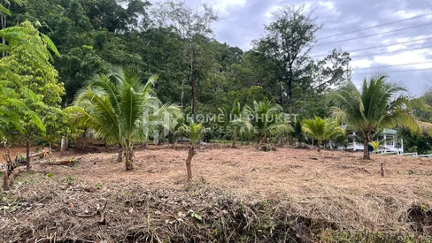 1 rai Land Surrounded by Forest in Thep Krasatti