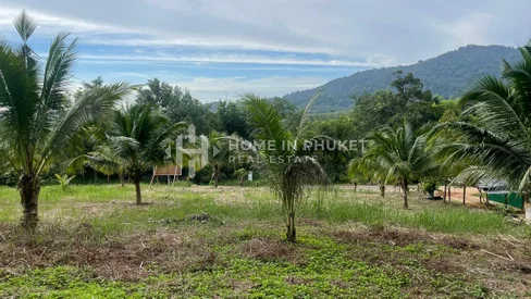 1 rai Land Surrounded by Forest in Thep Krasatti