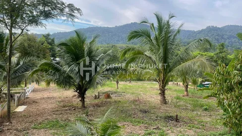 1 rai Land Surrounded by Forest in Thep Krasatti