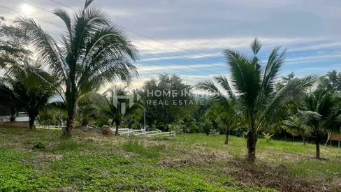 1 rai Land Surrounded by Forest in Thep Krasatti