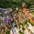 Top 5 Must-Visit Attractions for Kids in Phuket