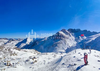 China Company Outing 2025