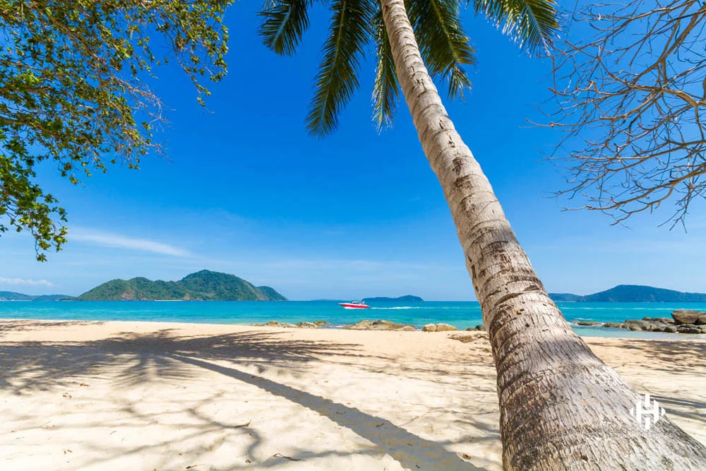 Coconut tree with speedboat in the distance on Laem Ka Beach