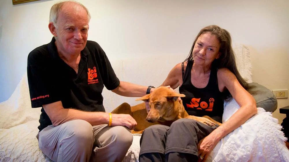 John Dalley and partner Gills nursing a soi dog
