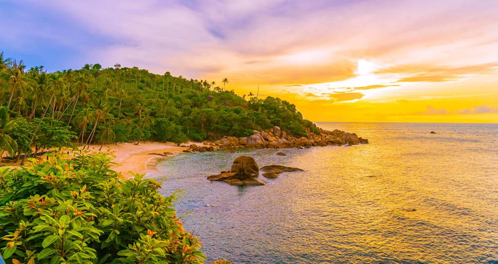 Peaceful coconut tree-fringed bay on Koh Samui