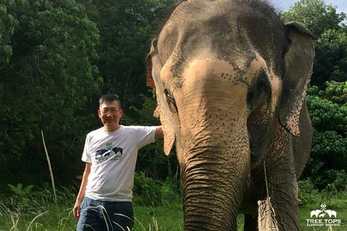 Wallop Joe P. Luengdhama with an elephant