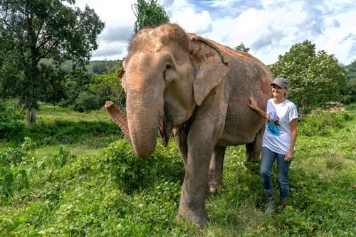 Louise Rogerson with elephant